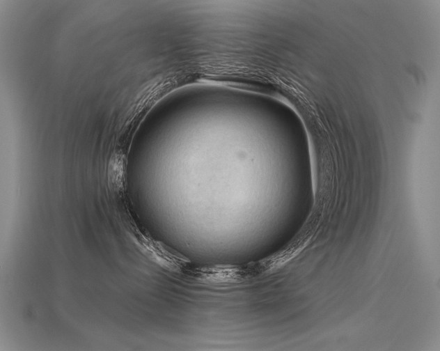 X0000115800288200911131406