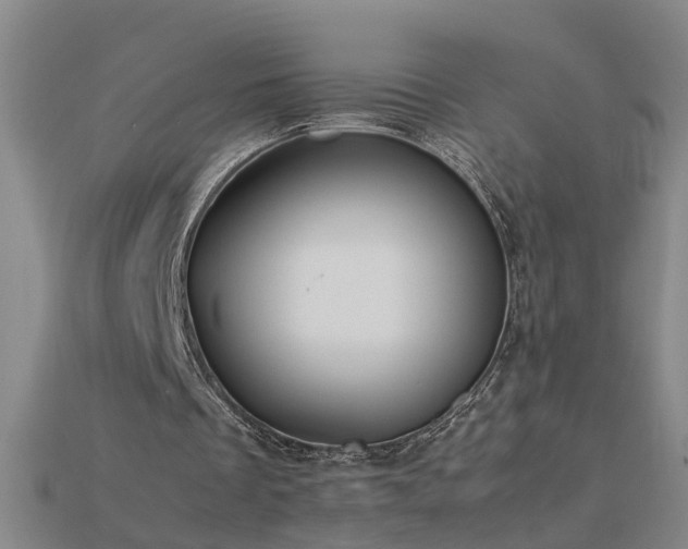 X0000115800289200911131405