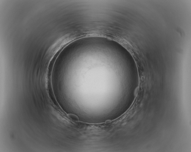 X0000115800290200911131405