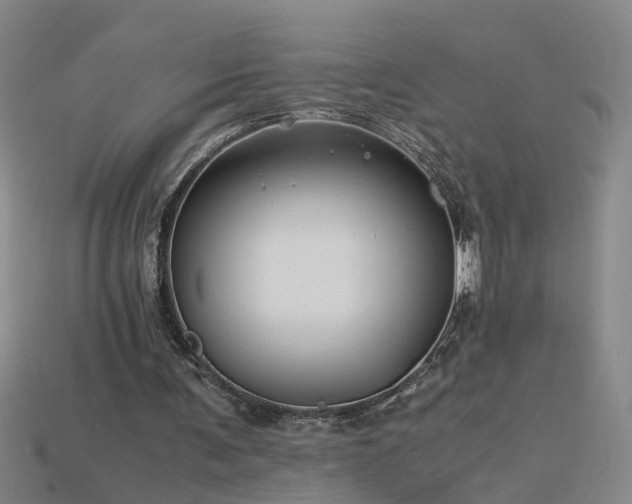 X0000115800291200911131405
