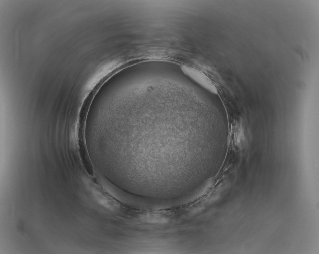 X0000115800292200911131405