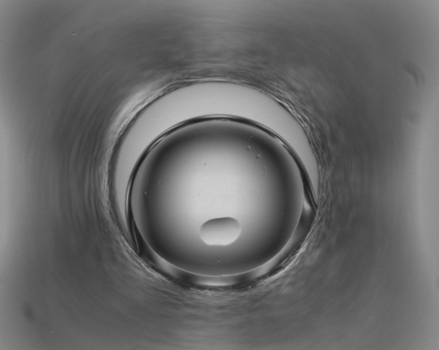 X0000115800293200911131405