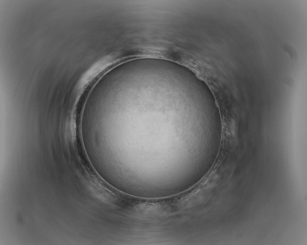 X0000115800294200911131405