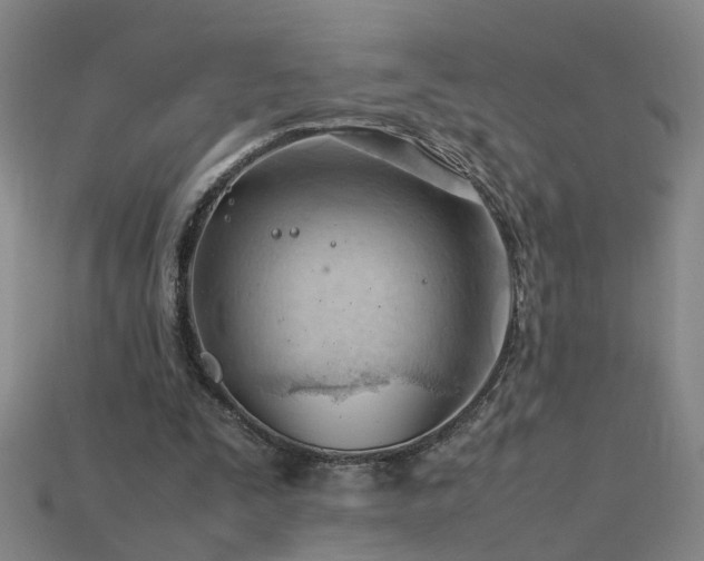 X0000115800295200911131405