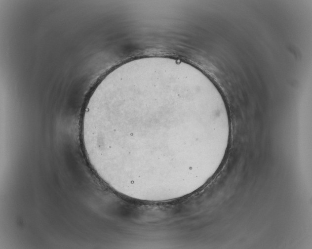X0000115800297200911131405