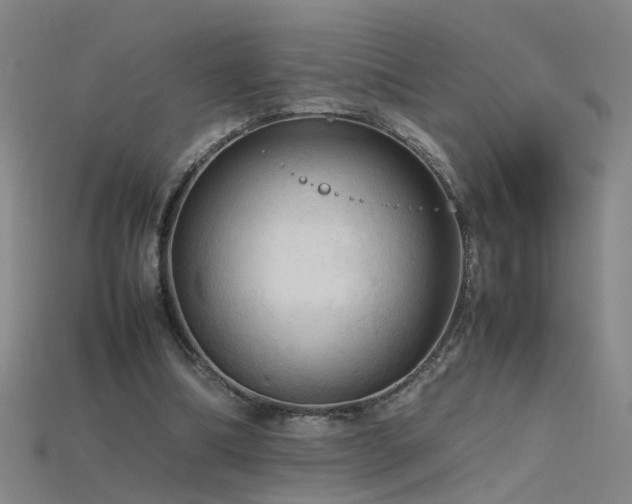X0000115800298200911131405