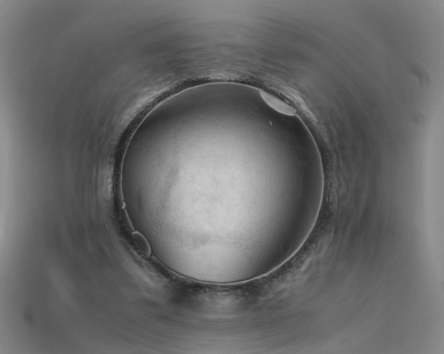 X0000115800299200911131405