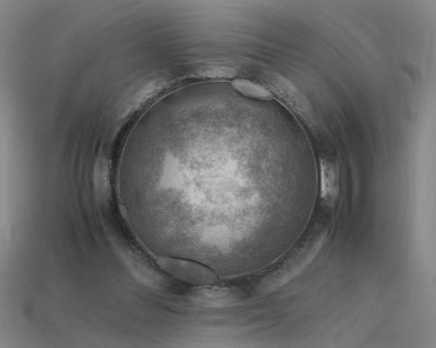 X0000115800300200911131405