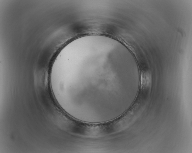 X0000115800301200911131405