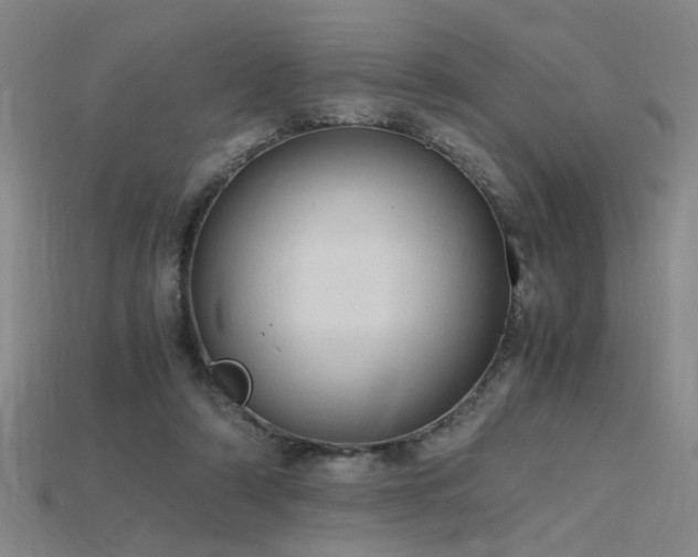 X0000115800306200911131405