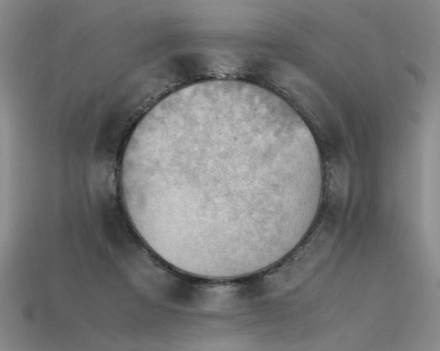 X0000115800313200911131405
