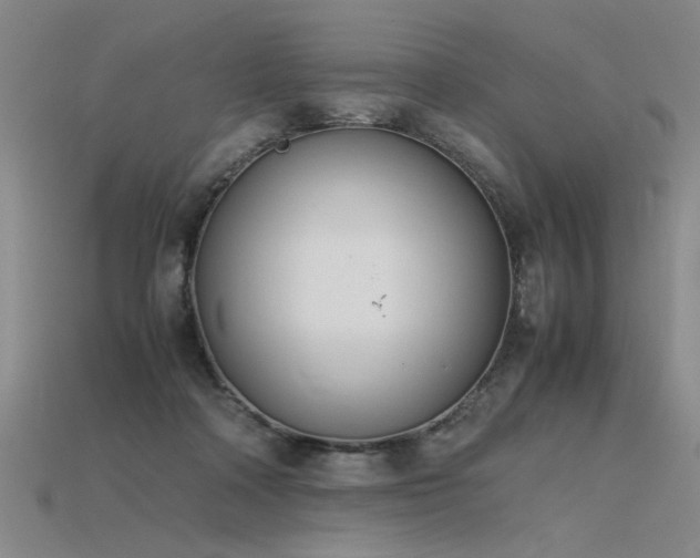 X0000115800314200911131405