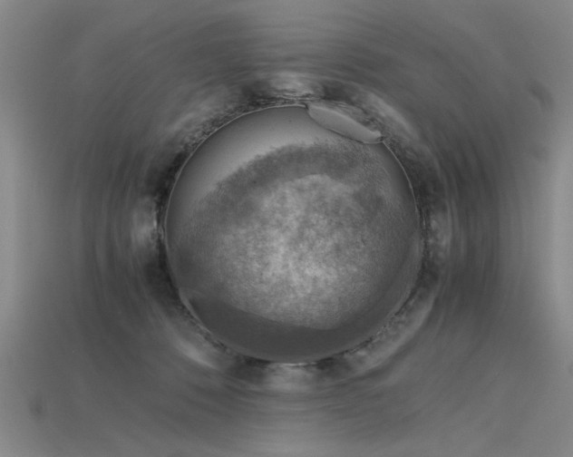 X0000115800320200911131405