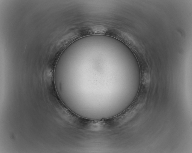 X0000115800321200911131405