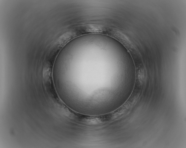 X0000115800322200911131405