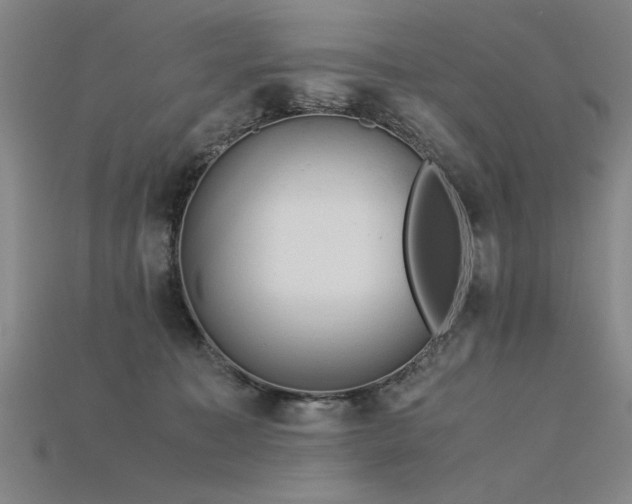 X0000115800323200911131405