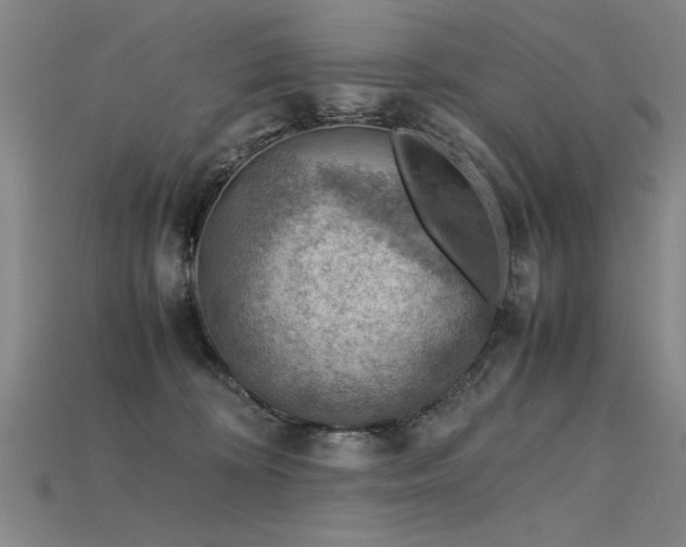 X0000115800324200911131405