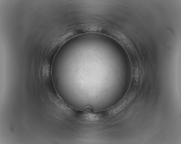 X0000115800326200911131405