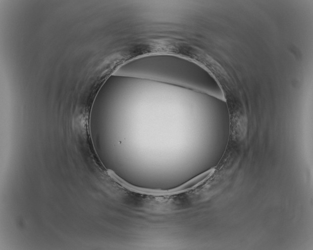X0000115800329200911131405