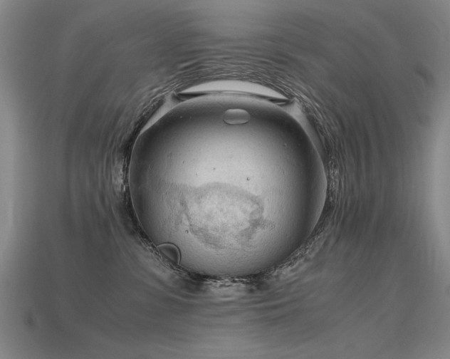 X0000115800331200911131405