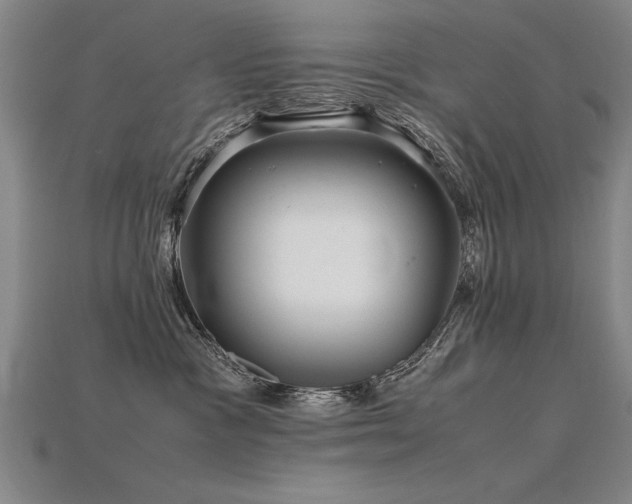 X0000115800333200911131405