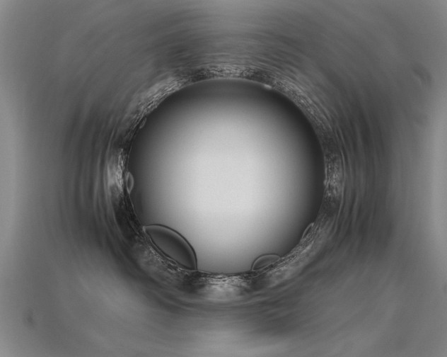 X0000115800334200911131405