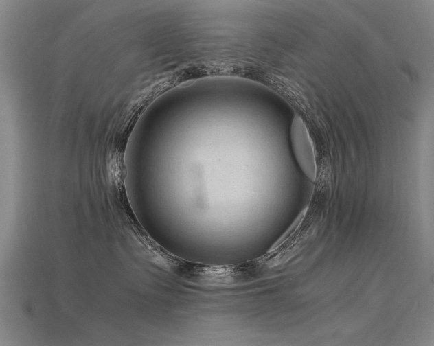 X0000115800335200911131405