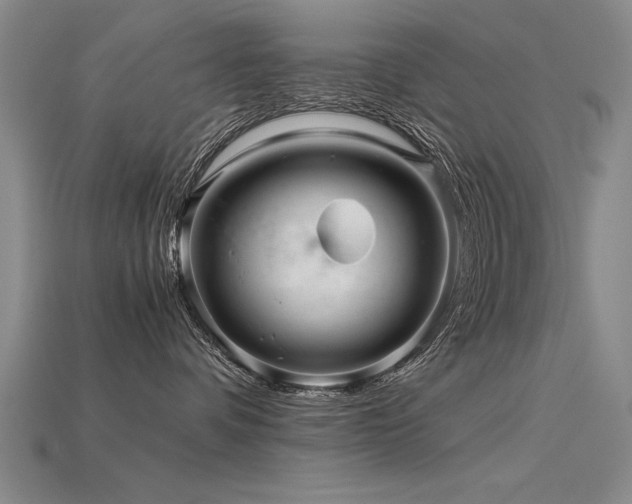 X0000115800336200911131405