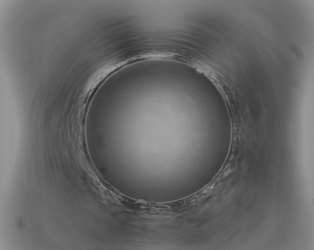 X0000115800337200911131404