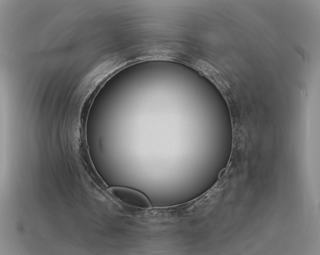 X0000115800338200911131404