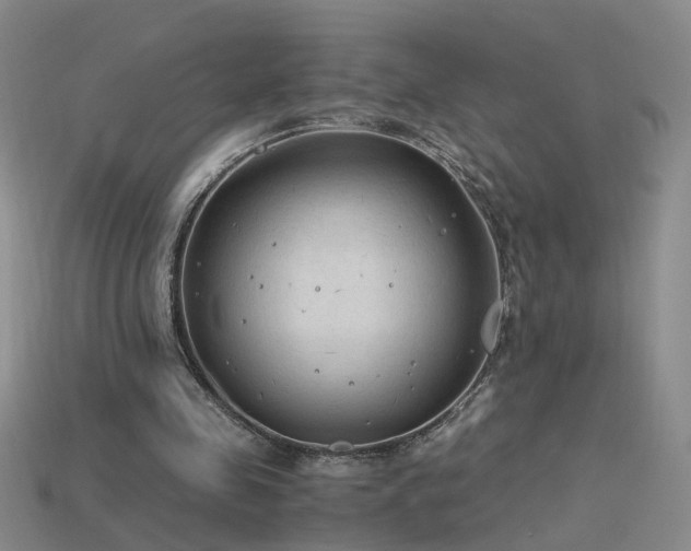 X0000115800341200911131404