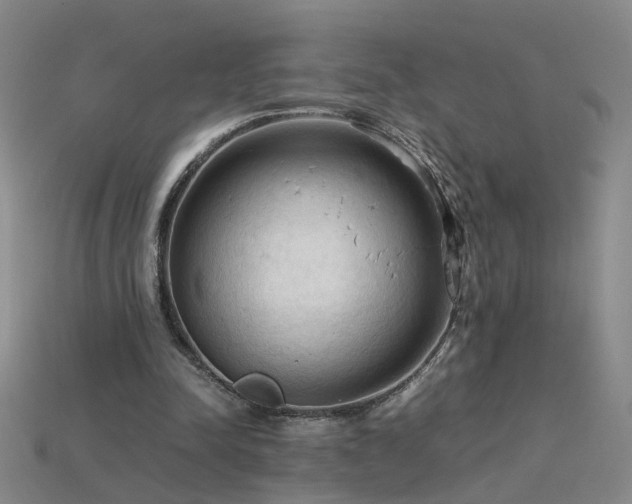 X0000115800342200911131404