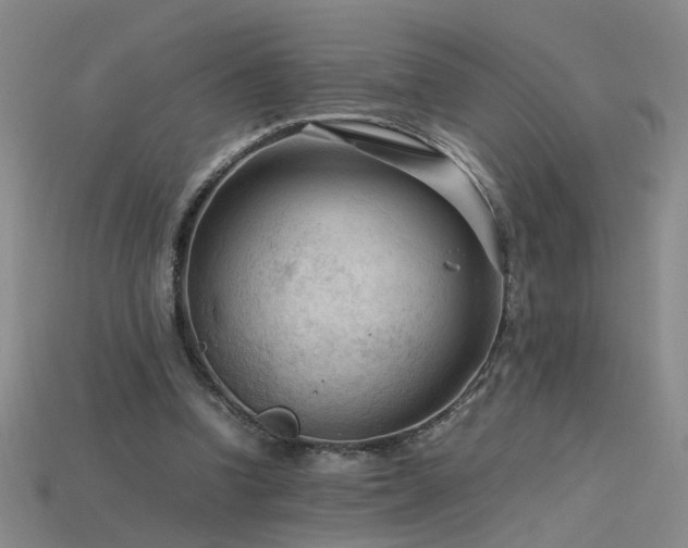 X0000115800346200911131404