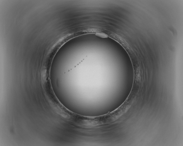 X0000115800351200911131404