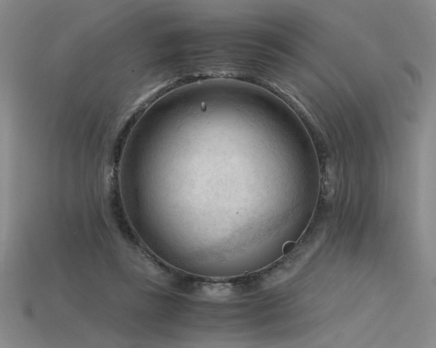 X0000115800355200911131404