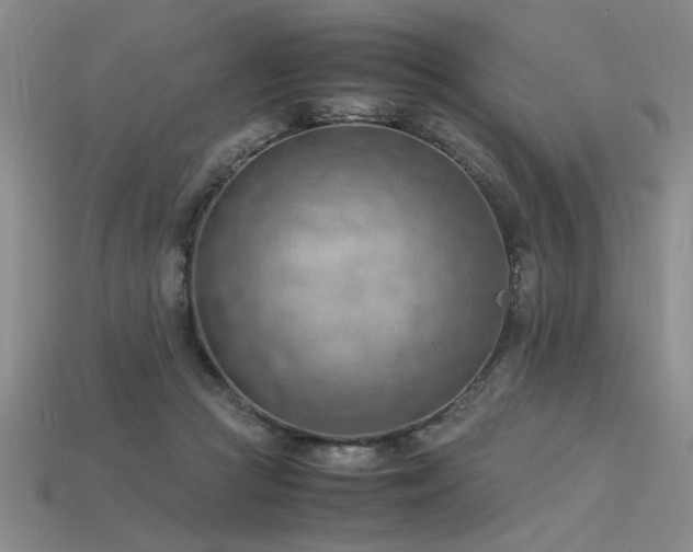 X0000115800361200911131404