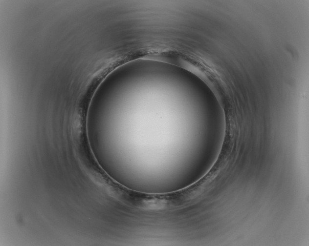 X0000115800362200911131405