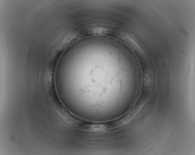 X0000115800363200911131405