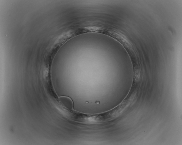 X0000115800365200911131405