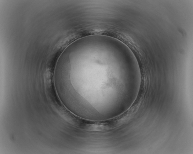 X0000115800366200911131405
