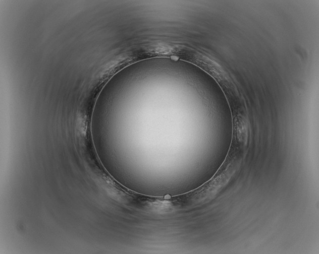 X0000115800374200911131405