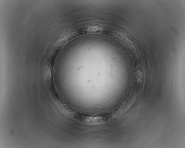 X0000115800375200911131405