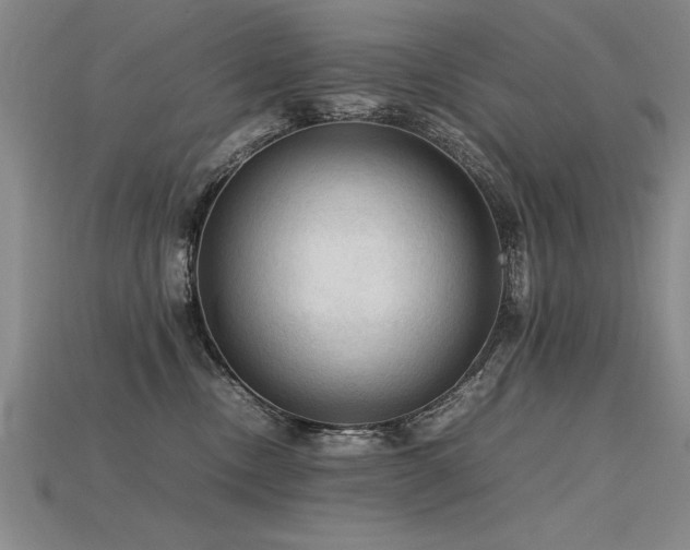 X0000115800378200911131405