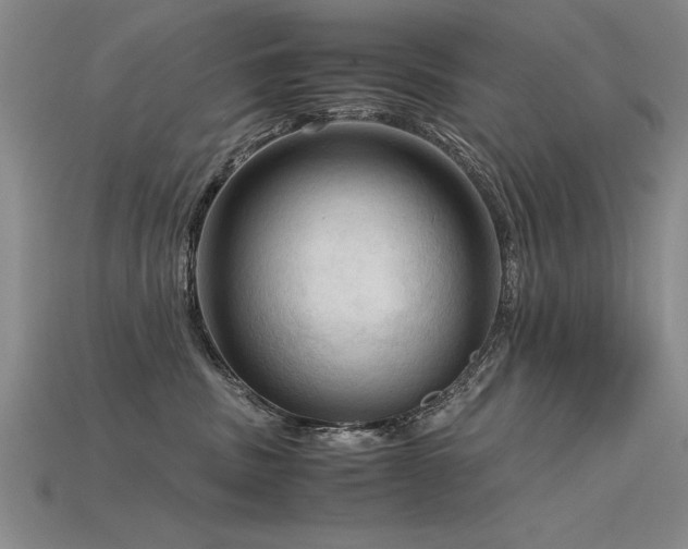 X0000115800379200911131405