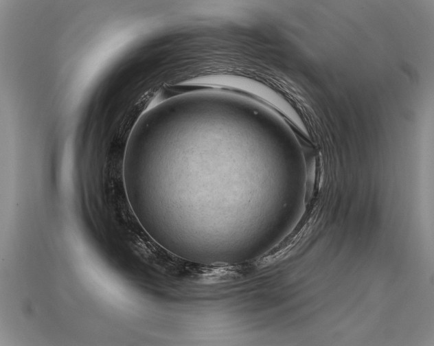 X0000115800382200911131405