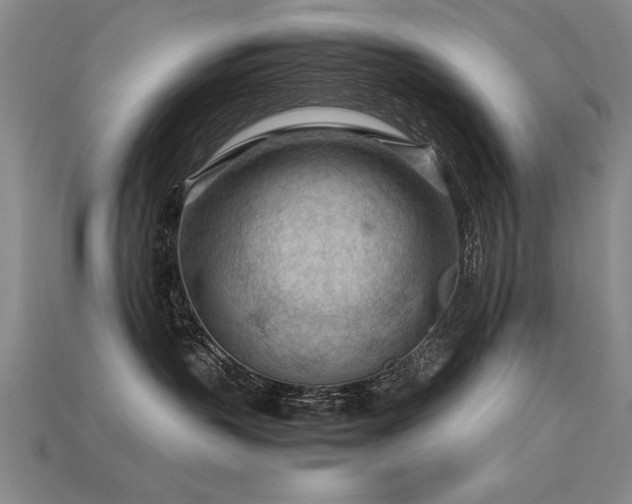 X0000115800383200911131405