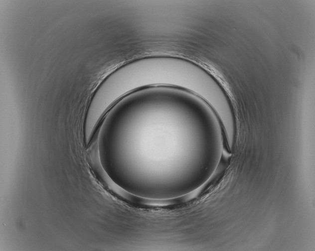X0000115800385200911131404