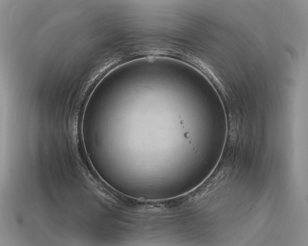 X0000115800386200911131404