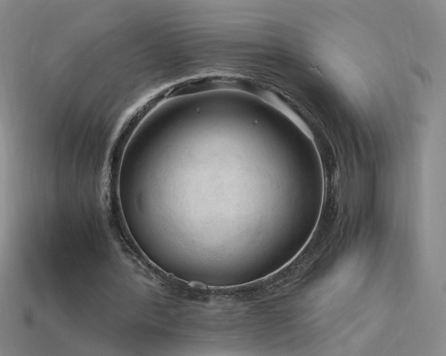 X0000115800388200911131404