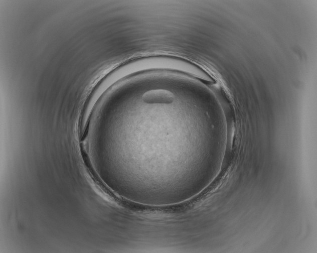 X0000115800389200911131404
